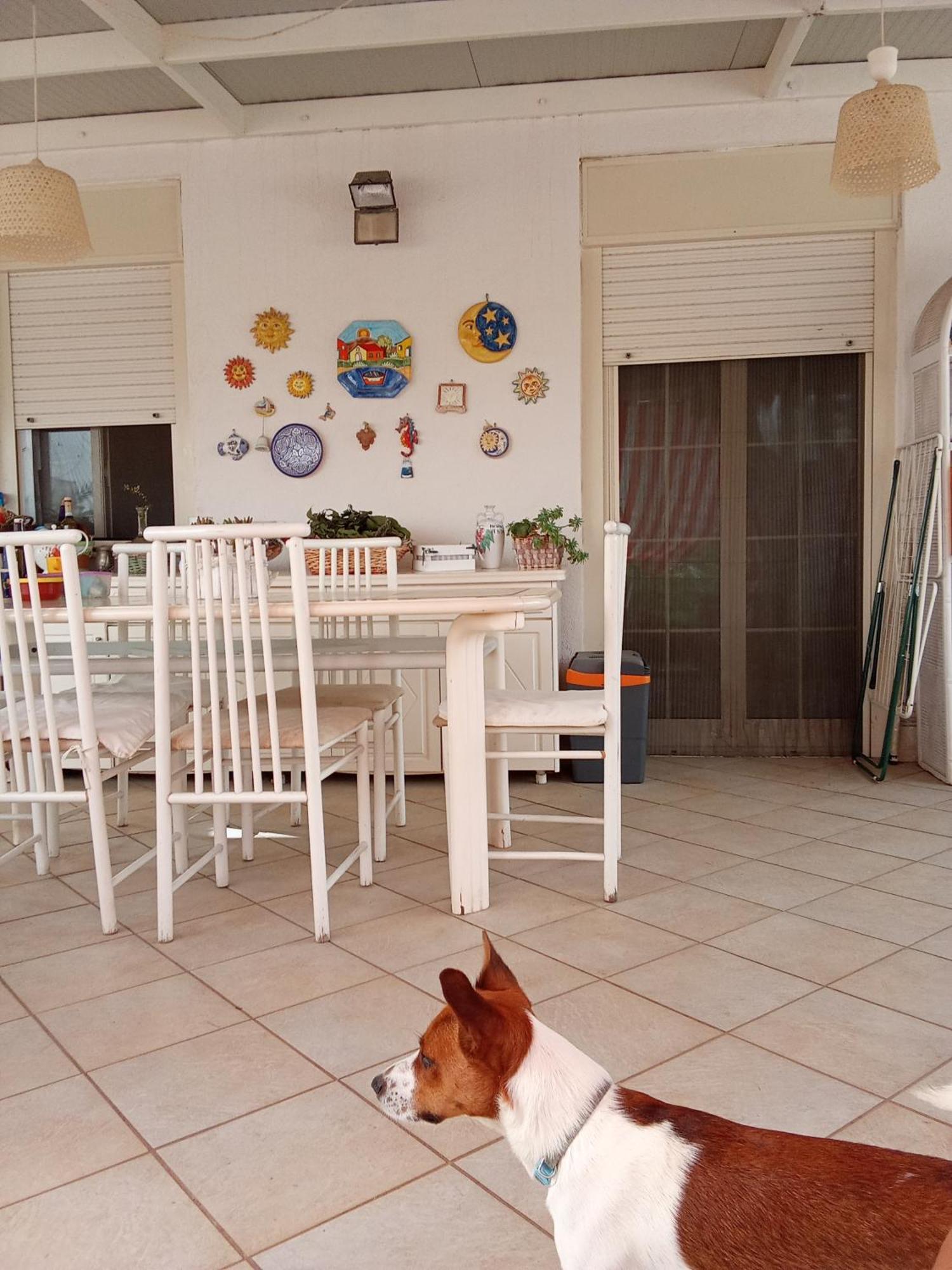 شقة Terrazza Mare Mondello باليرمو المظهر الخارجي الصورة